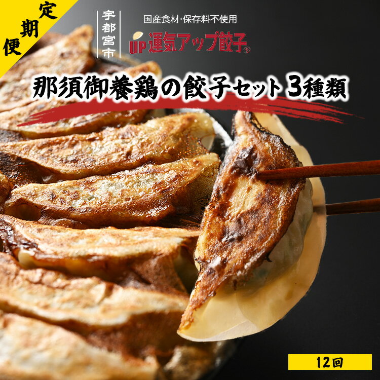 【ふるさと納税】【定期便12回】 鶏餃子3種類味比べ(54個×12回 合計648個) 保存料不使用【ぎょうざ ギョウザ ギョーザ 冷凍食品 冷凍餃子 惣菜 夜ご...