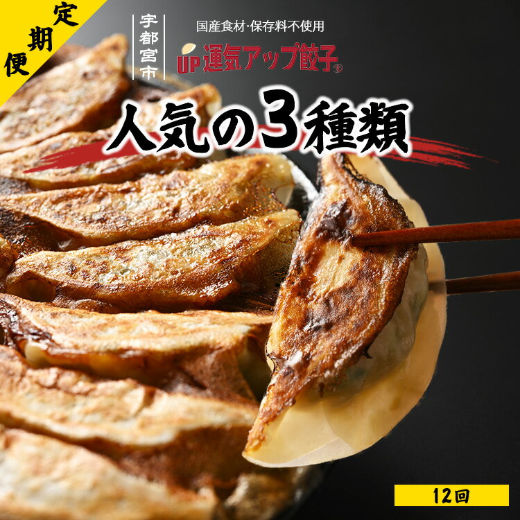 【ふるさと納税】【定期便12回】宇都宮餃子 運気アップ餃子 豚餃子3種類 (54個×12回 合計648個)【ぎょうざ ギョウザ ギョーザ 冷凍食品 冷凍餃子 惣...
