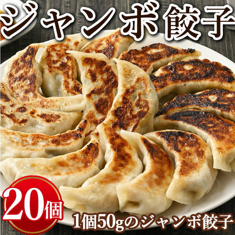 ジャンボ餃子 20個入り ※着日指定不可