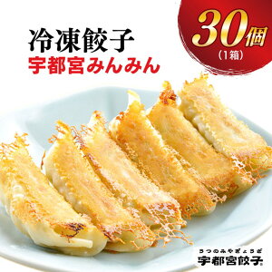 【ふるさと納税】宇都宮餃子【宇都宮みんみん】餃子 30個入り【ぎょうざ ギョウザ ギョーザ 冷凍食品 冷凍餃子 惣菜 夜ご飯 おかず おつまみ 手軽 時短 お取り寄せ グルメ 送料無料 栃木県 宇都宮市】※配送不可地域：離島