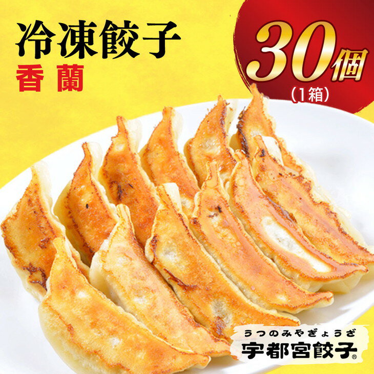 【ふるさと納税】宇都宮餃子【香蘭】餃子 30個入り【 冷凍餃子 ぎょうざ ギョウザ 冷凍食品 惣菜 栃木県 宇都宮市 】※配送不可地域：離島