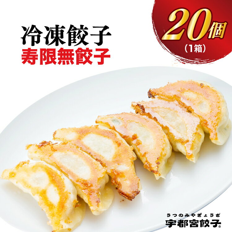 [寿限無餃子]餃子 20個入り[ぎょうざ ギョウザ ギョーザ 冷凍食品 冷凍餃子 無添加 惣菜 夜ご飯 おかず おつまみ 手軽 時短 お取り寄せ グルメ 送料無料 栃木県 宇都宮市]※配送不可地域:離島