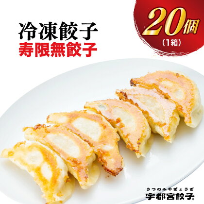 【寿限無餃子】餃子 20個入り【ぎょうざ ギョウザ ギョーザ 冷凍食品 冷凍餃子 無添加 惣菜 夜ご飯 おかず おつまみ 手軽 時短 お取り寄せ グルメ 送料無料 栃木県 宇都宮市】※配送不可地域：離島