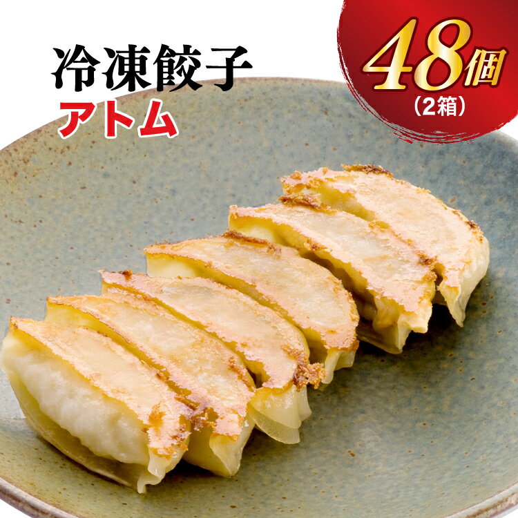 【ふるさと納税】【アトム】餃子 24個入り×2箱【ぎょ