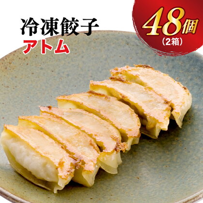 【アトム】餃子 24個入り×2箱【ぎょうざ ギョウザ ギョーザ 冷凍食品 冷凍餃子 惣菜 夜ご飯 おかず おつまみ 手軽 時短 お取り寄せ グルメ 送料無料 栃木県 宇都宮市】※配送不可地域：離島