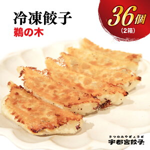 【ふるさと納税】【鵜の木】餃子 18個入り×2箱【ぎょうざ ギョウザ ギョーザ 冷凍食品 冷凍餃子 惣菜 夜ご飯 おかず おつまみ 手軽 時短 お取り寄せ グルメ 送料無料 栃木県 宇都宮市】※配送不可地域：離島