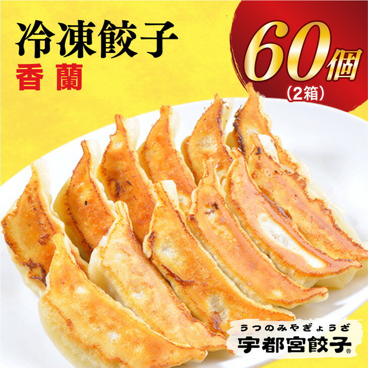 【ふるさと納税】宇都宮餃子【香蘭】餃子 30個入り×2箱 【冷凍餃子 ぎょうざ ギョウザ 冷凍食品 惣菜 栃木県 宇都宮市 】※配送不可地域：離島