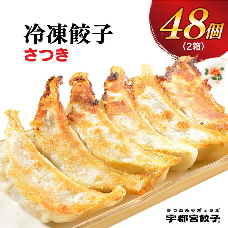 【ふるさと納税】【さつき】餃子 24個入り×2箱【ぎょうざ ギョウザ ギョーザ 冷凍食品 冷凍餃子 惣菜 夜ご飯 おかず おつまみ 手軽 時短 お取り寄せ グルメ 送料無料 栃木県 宇都宮市】※配送不可地域：離島