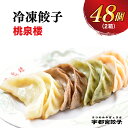 【ふるさと納税】【桃泉楼】餃子24個入り×2箱|餃子 ぎょうざ ギョウザ ギョーザ 冷凍食品 冷凍餃子 惣菜 夜ご飯 おかず おつまみ 手軽 時短 お取り寄せ グルメ 送料無料 栃木県 宇都宮市
