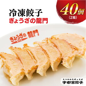 【ふるさと納税】【龍門】餃子 20個入り×2箱【ぎょうざ ギョウザ ギョーザ 冷凍食品 冷凍餃子 惣菜 夜ご飯 おかず おつまみ 手軽 時短 お取り寄せ グルメ 送料無料 栃木県 宇都宮市】※配送不可地域:離島