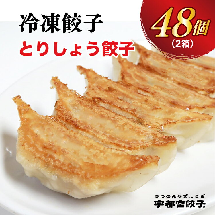 【とりしょう】餃子　24個入り×2箱【ぎょうざ ギョウザ ギョーザ 冷凍食品 冷凍餃子 惣菜 夜ご飯 おかず おつまみ 手軽 時短 お取り寄せ グルメ 送料無料 栃木県 宇都宮市】※着日指定不可※北海道・沖縄・離島への配送不可