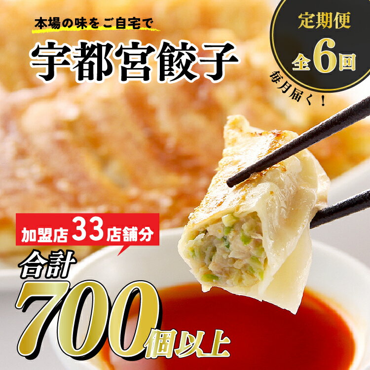 【6ヶ月定期便】宇都宮餃子　32店舗定期便　計700個以上 ｜ ぎょうざ ギョウザ ギョーザ 冷凍食品 冷凍餃子 惣菜 夜ご飯 おかず おつまみ 手軽 時短 お取り寄せ グルメ 送料無料 栃木県 宇都宮市※着日指定不可