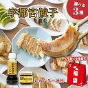 【ふるさと納税】【楽天限定】【選べる 福袋】宇都宮餃子 餃子の街 宇都宮 名店32店舗からお好きな3店舗が選べる!(6人前セット) 専用タレ・ラー油付 送料無料...