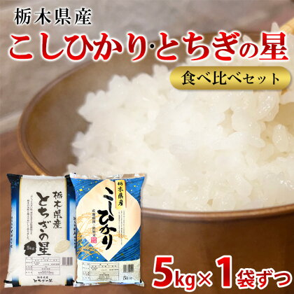 【令和5年産】栃木県こしひかり・とちぎの星食べ比べセット（精米・5kg×1袋ずつ）※着日指定不可※離島への配送不可