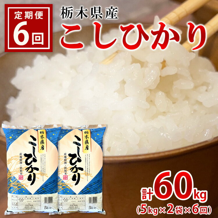 【6ヶ月定期便】【令和5年産】栃木県産こしひかり（精米・5kg×2袋）※着日指定不可※離島への配送不可