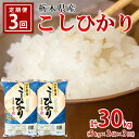 【ふるさと納税】【3ヶ月定期便】【令和5年産】栃木県産こしひかり（精米 5kg×2袋）※着日指定不可※離島への配送不可