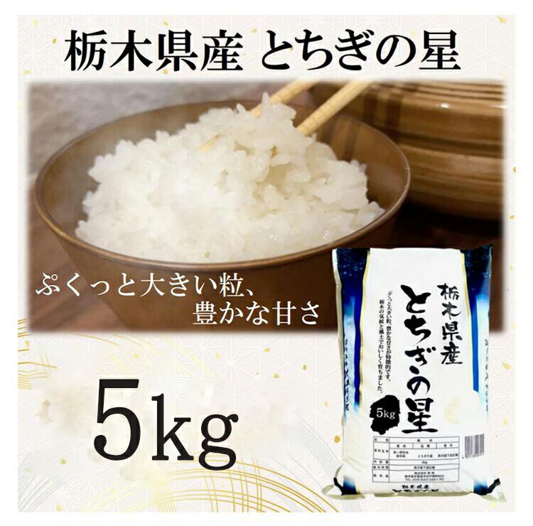 [令和5年産]栃木県産とちぎの星 (精米)5kg×1袋 | お米 白米 一等米 送料無料 栃木県 宇都宮市※離島への配送不可