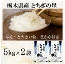 【ふるさと納税】【令和5年産】栃木県産とちぎの星 (精米)5kg×2袋 ｜ お米 白米 一等米 送料無料 栃木県 宇都宮市※離島への配送不可