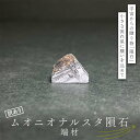 【ふるさと納税】ムオニオナルスタ隕石 訳あり F7Z-1325