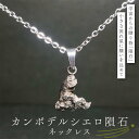 【ふるさと納税】カンポデルシエロ隕石のネックレス F7Z-1327