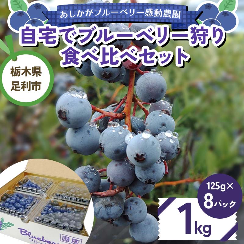 自宅でブルーベリー狩り 食べ比べセット 1kg