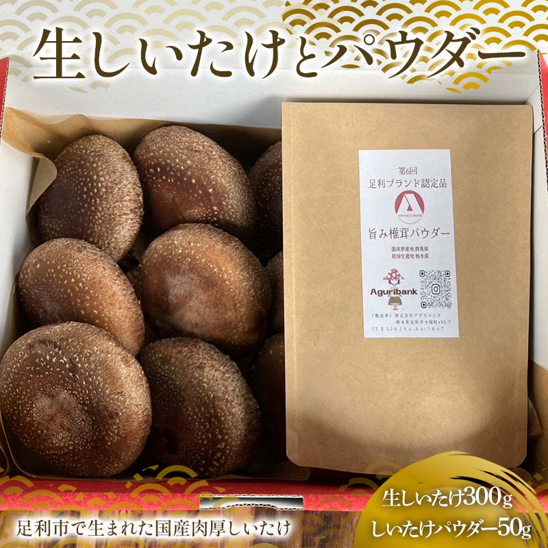 【ふるさと納税】純国産菌床しいたけ 生しいたけ300g、しいたけパウダー50gセット 国産 野菜 椎茸 栃木 F7Z-1350