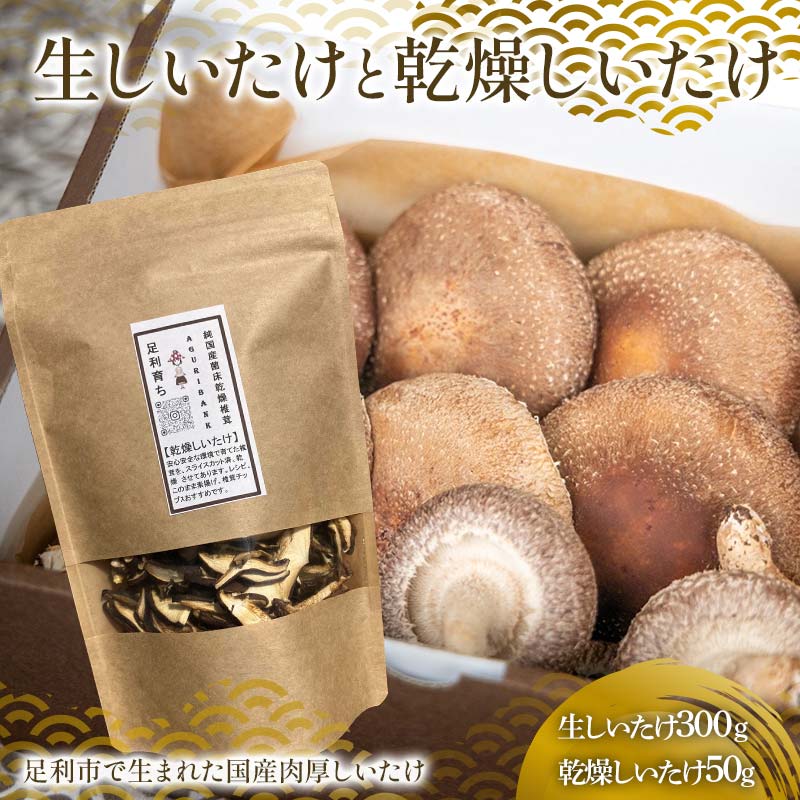 【ふるさと納税】純国産菌床しいたけ 生しいたけ300g、乾燥しいたけ50gセット 国産 野菜 椎茸 栃木 F7Z-1351