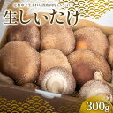 【ふるさと納税】純国産菌床しいたけ 生しいたけ300g 国産 野菜 椎茸 栃木 F7Z-1352