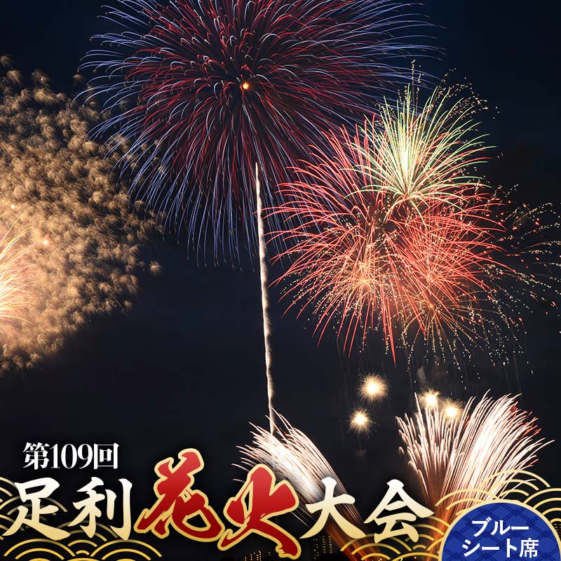 [2025年8月2日(土)]第109回足利花火大会 有料観覧券 ブルーシート席[1区画] 8名定員 花火大会 花火 イベント 行事 夏 券 チケット ペア 家族 大人数 栃木県 足利市
