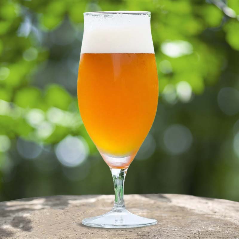 【ふるさと納税】＼3ヶ月連続定期便／ 【Toshi Ishii】日本を代表するブリューマスターが造る「ORIHIME」 IPA 355ml×8缶を月1回、3ヶ月連続でお届け【 クラフトビール お酒 栃木県 足利市 】 F7Z-1445