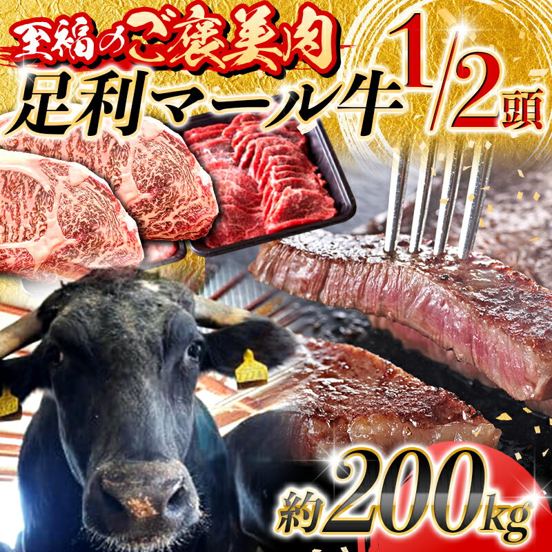 [至福のご褒美肉]足利マール牛1/2頭! 約200kg