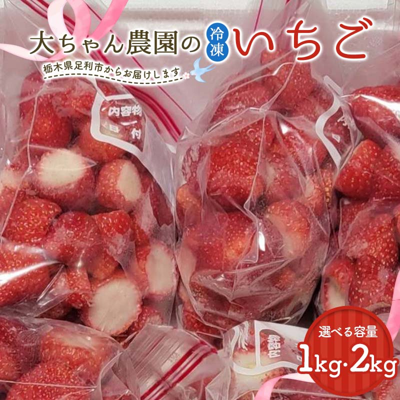 ＼選べる容量/栃木のブランドとちあいか 大ちゃん農園の冷凍いちご1kg(500g×2袋) 2kg(500g×4袋)いちご イチゴ 苺 デザート フルーツ 果物 くだもの 果実 食品 F7Z-1716var