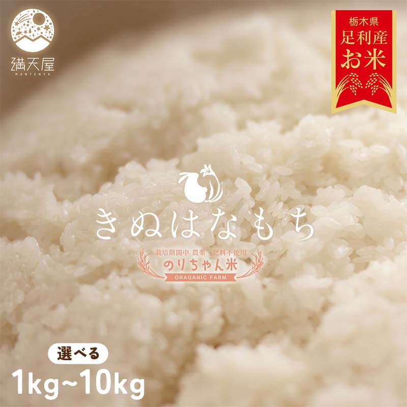 ＼選べる容量/令和7年 足利市産 のりちゃん米 もち米 (きぬはなもち) 1kg 2kg 5kg 10kg [栽培期間中 農薬・肥料不使用] 餅 もち 米 こめ 食品 農家 限定 2025年 年末 正月 新年 贈答 贈り物 ギフト プレゼント 家庭 自宅 栃木県 足利市 F7Z-1719var