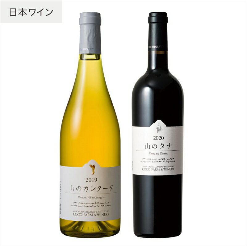 【ふるさと納税】ココワイン/山のワインセット【 ワイン お酒