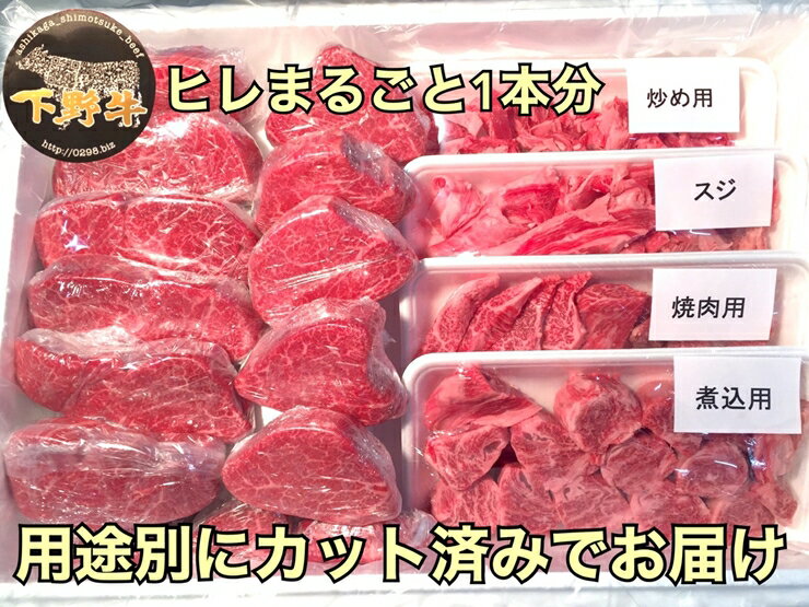 [1/10より順次発送]「下野牛」ヒレまるごと1本[ブランド牛の肉 下野牛のお肉 調理用 たっぷりお肉 満足できる逸品 メイン料理 おかず料理 プチ贅沢 各種お肉 たっぷり一本 栃木県 足利市 ]