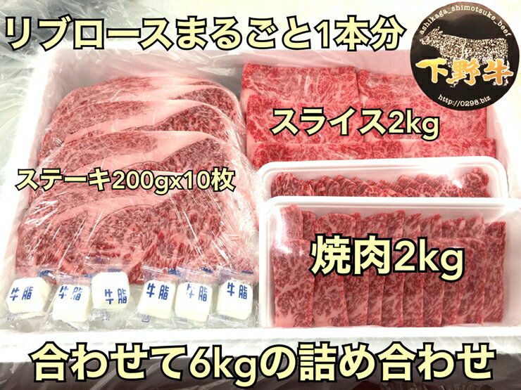 [1/10より順次発送]「下野牛」リブロースまるごと1本[ブランド牛の肉 下野牛のお肉 調理用 たっぷりお肉 満足できる逸品 メイン料理 おかず料理 プチ贅沢 各種お肉 たっぷり一本 栃木県 足利市 ]