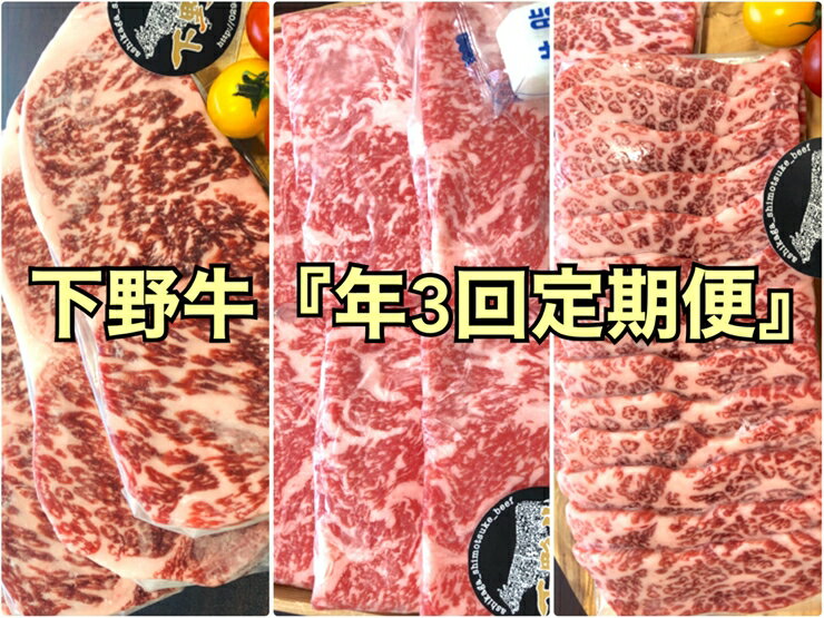 「下野牛」定期便3回コース(配送月 2月、6月、10月)[ブランド牛の肉 下野牛のお肉 調理用 たっぷりお肉 満足できる逸品 メイン料理 おかず料理 プチ贅沢 各種お肉 年3回の贅沢 栃木県 足利市 ]