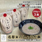 【ふるさと納税】＜あしかが輝き大使・薮崎シェフ＞ 名草米のしょうが粥 250g×3食 【足利市産コシヒカリ使用】【足利市産コシヒカリ あしかがヌーボー 足利市産食材 名草地区の産品 旨味たっぷり 栃木県 足利市 】