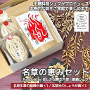 5位! 口コミ数「0件」評価「0」＜あしかが輝き大使・薮崎シェフ＞ 名草の恵みセット（名草米のしょうが粥×3、名草生姜の麻辣火鍋×1）【足利市産コシヒカリ あしかがヌーボー ･･･ 