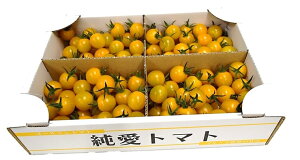 【ふるさと納税】栃木県足利産のこだわりミニトマト甘さいっぱい「純愛トマト」 2kg 〈出荷時期:2025年3月1日〜2025年6月20日〉 【フルーツトマト ミニトマト とまと 贈り物 自宅用 ギフトプレゼント 黄色いトマト イエロートマト 栃木県 足利市 】 F7Z-254