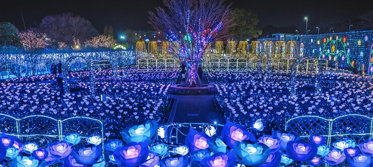 【ふるさと納税】あしかがフラワーパーク入園券（2枚）+オリジナルグッズ【入場券 入園券 フラワーパーク イルミネーション 日本三大イルミネーション 夜景 栃木県 足利市 】