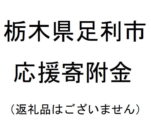 【ふるさと納税】(返礼品なし)栃木県足利市応援寄附金(100