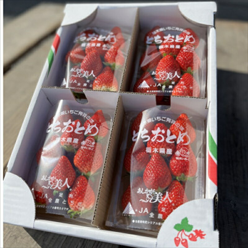 【ふるさと納税】【先行予約】太陽の恵みを受けて育った あしかが美人いちご とちおとめ1箱（270gパック×4）＜出荷時期：2024年1月15日～2024年3月15日＞【イチゴ ストロベリー あしかが美人 ギフト プレゼント 自宅用 大玉 大粒 栃木県 足利市 】のサムネイル