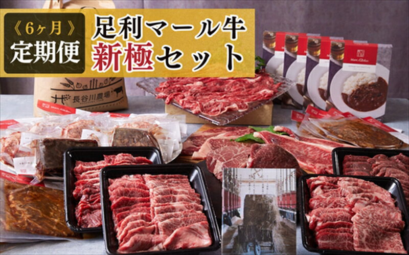 農場直送!足利マール牛 6ヶ月定期便『新極』[牛 肉 冷凍 お取り寄せ グルメ 高級 サーロインステーキ 和牛 ギフト お中元 お歳暮 母の日 父の日 敬老の日 栃木県 足利市 ]