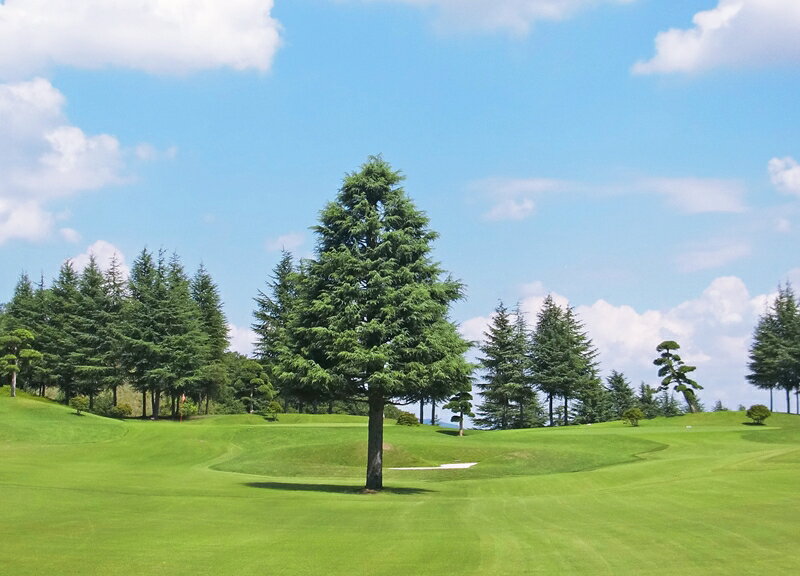 【ふるさと納税】【会員限定】東松苑ゴルフ倶楽部　施設利用券　￥30,000分【 栃木県 足利市 】 F7Z-1322