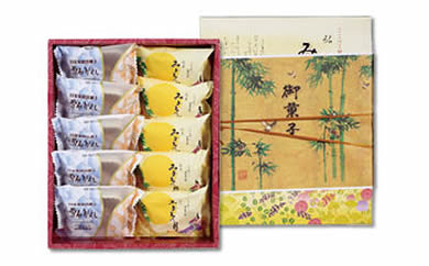 銘菓詰合せ(10個入り)