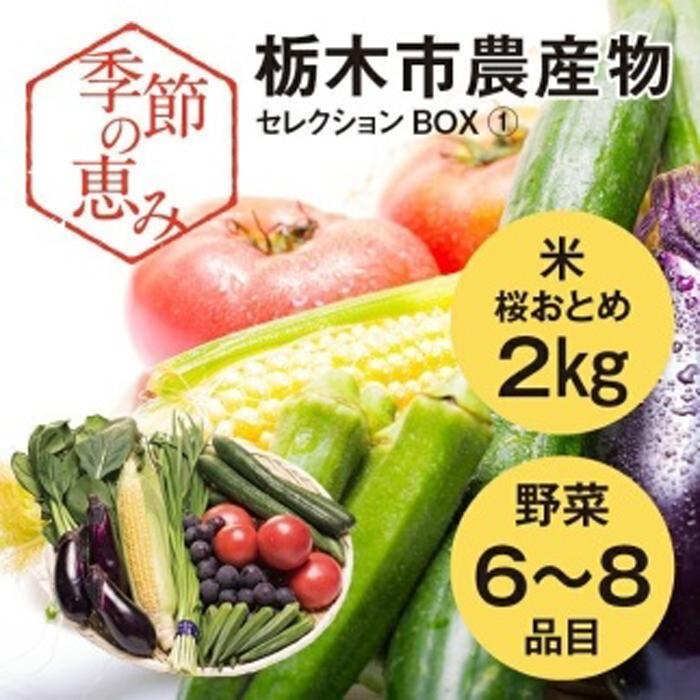 季節の恵み栃木市農産物セレクションBOX(1)
