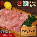 【ふるさと納税】とちぎ和牛・前日光和牛（焼き肉用カルビ500g／1kg）｜肉 お肉 和牛 最高級 A5ランク A5等級 焼肉 | お肉 牛肉 にく