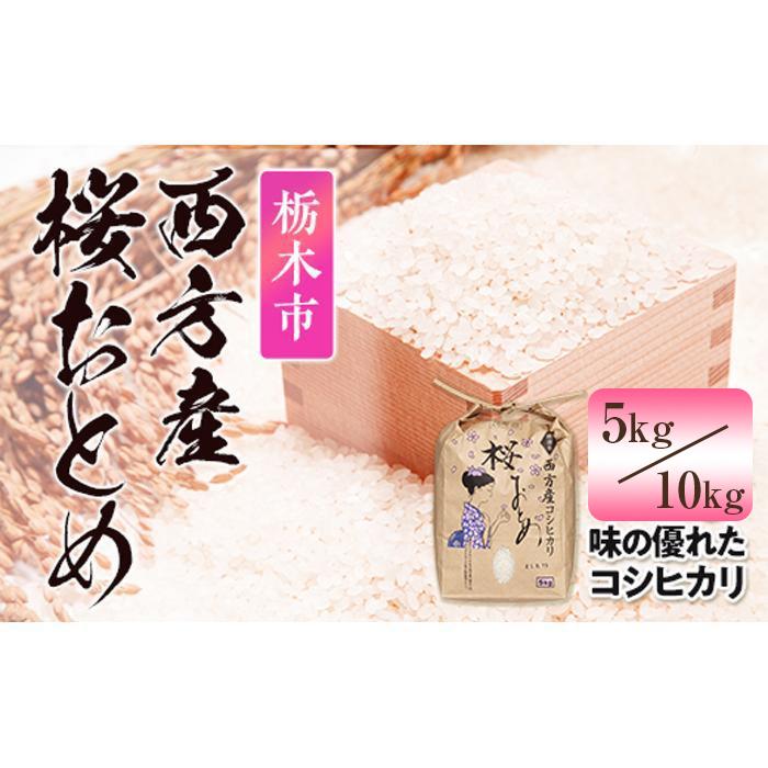 【ふるさと納税】栃木市西方産桜おとめ（5kg／10kg）｜米