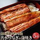 【ふるさと納税】幻の国産ブランド 共水うなぎ かば焼き 5串（約115g×5） タレ 山椒 付き | 極上 甘み うまみ ふっくら 食感 鰻 蒲焼き 蒲焼 かばやき 鰻重 鰻丼 ご当地 グルメ お取り寄せ 人気 おすすめ ギフト 真空 冷凍 栃木県 栃木市